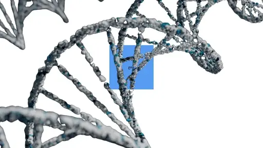 [14384ES03] Hieff Canace™ Uracil+ High-Fidelity DNA polymerase (3 U/μL) - 1000 Tests